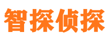 薛城出轨调查